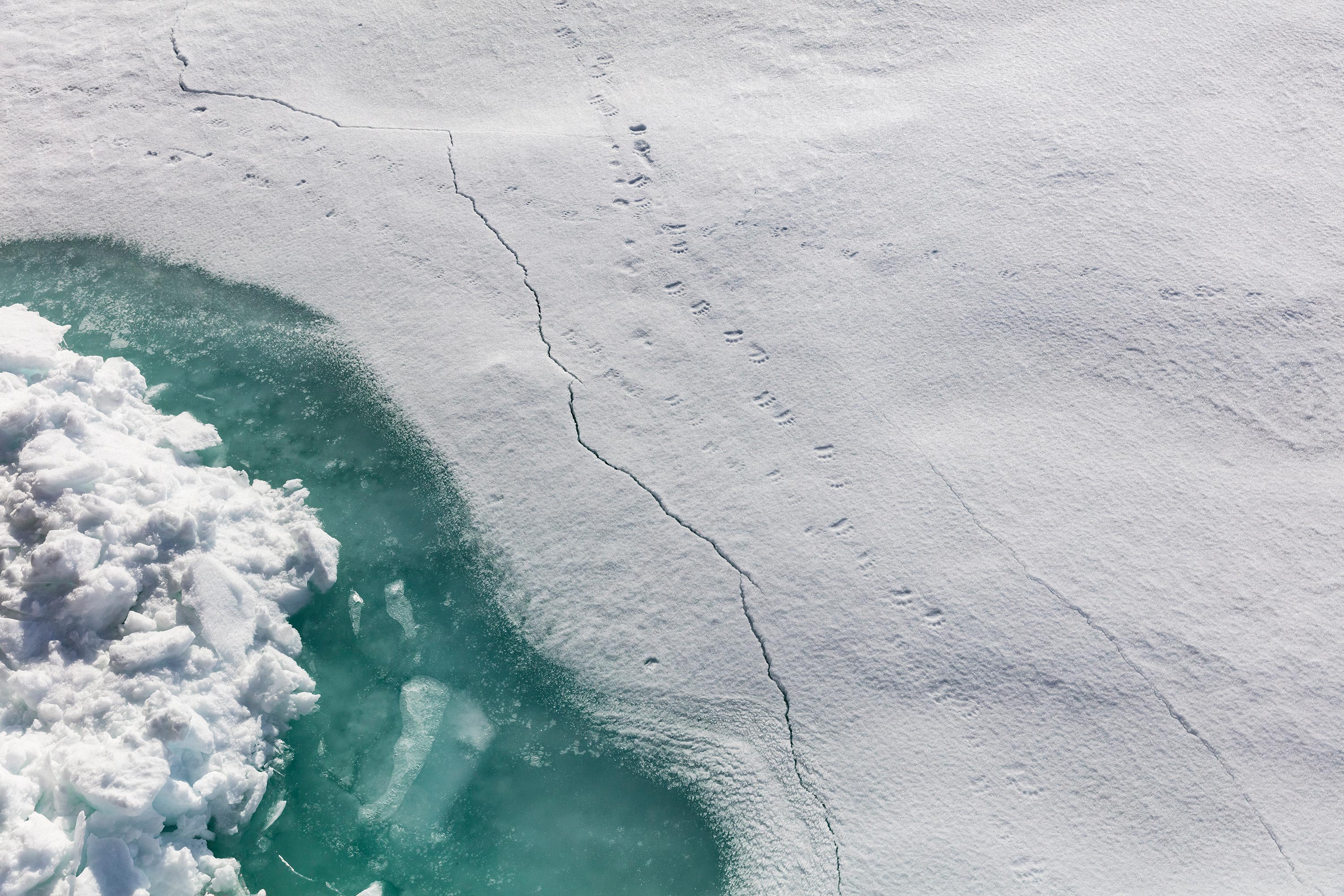 Inspirato-Arctic_Expedition18-05-Bear_Fjord-1028